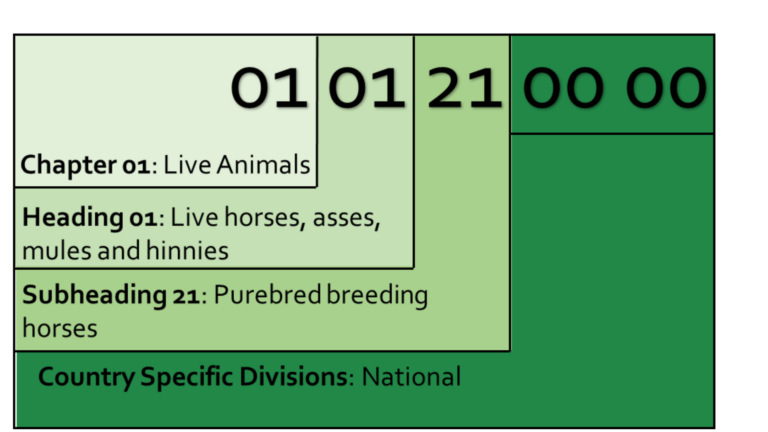 Commodity code breakdown diagram showing how the digits of code 01012100 00 correspond to chapter, heading, subheading, and country-specific divisions
