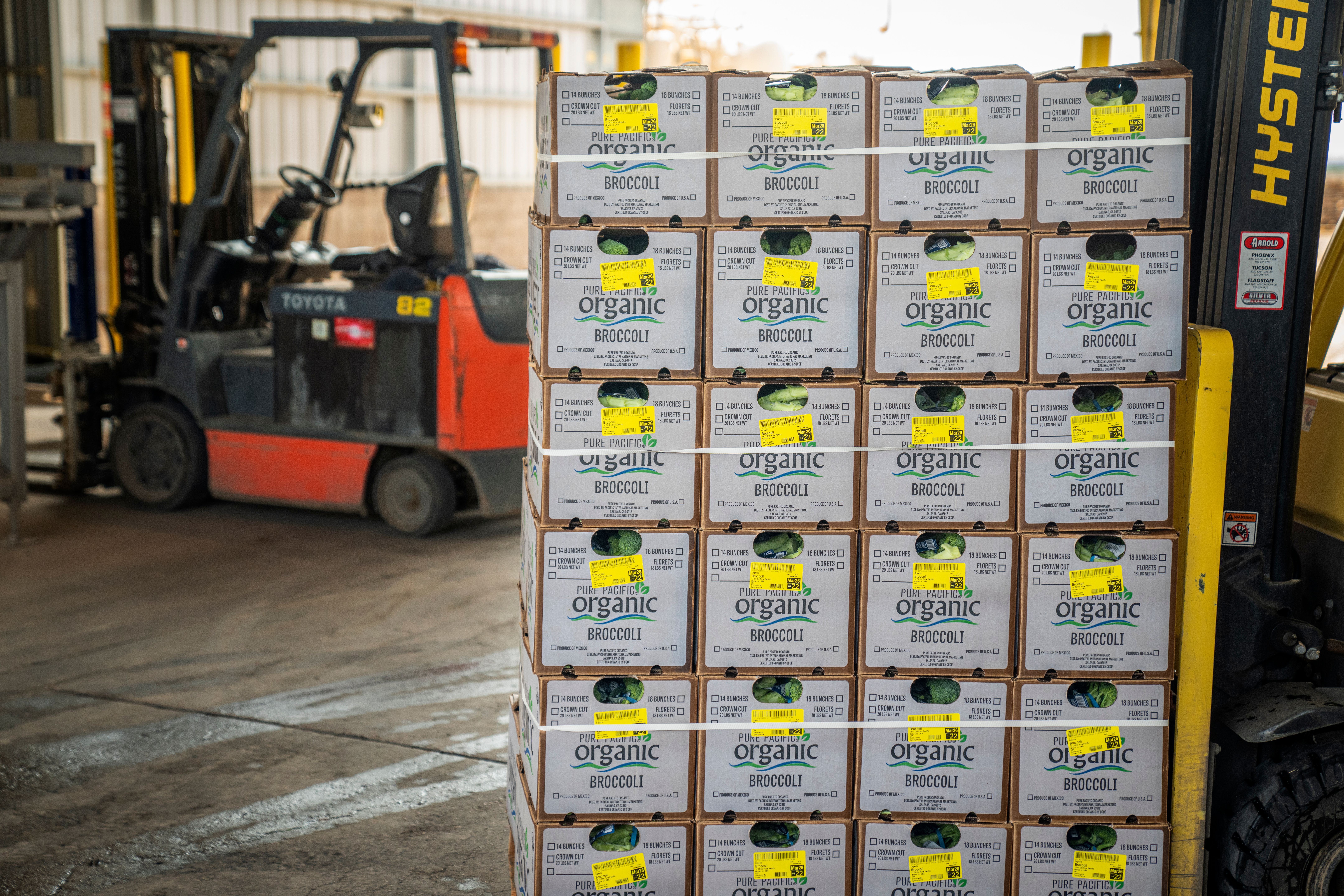 Exporting food from the UK training course