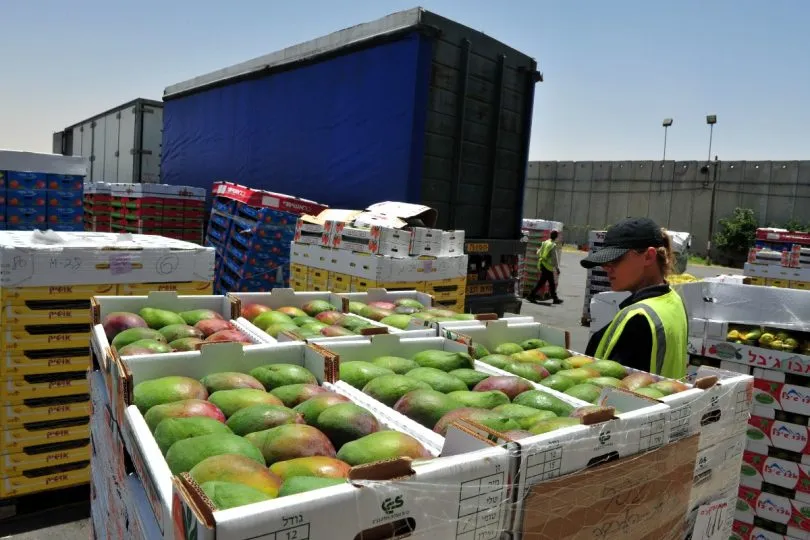 Importing food into the UK training course